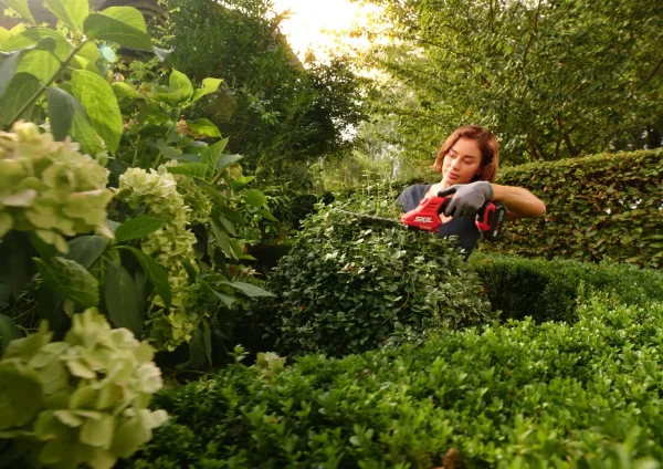 SKIL 0630 CA Tesoura para arbustos e relva - sem fios - Image 3