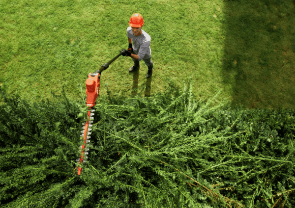 SKIL 0640 CA Corta-sebes telescópico - sem fios - Image 5