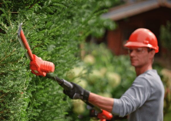 SKIL 0640 CA Corta-sebes telescópico - sem fios - Image 8