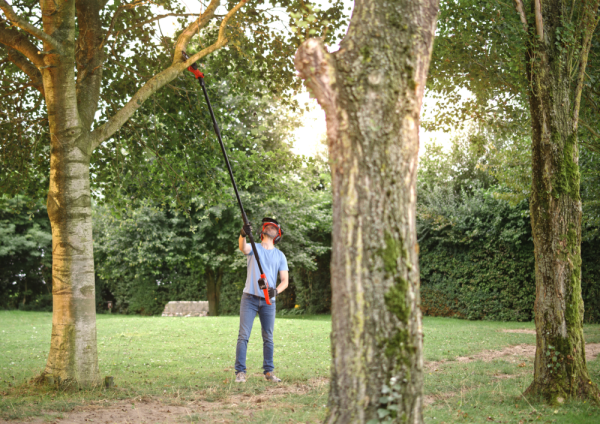 SKIL 0650 CA Serra telescópica - sem fios - Image 3