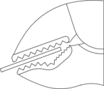 137 10 Alicate Grip 10-MAGIC PROM.14 - Image 2