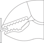 137 10 Alicate Grip 10-MAGIC PROM.14 - Image 4